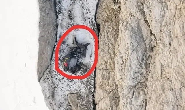 Cilo Sat Dağı'nda Acı Son! Dağcı Yüksel Işık'ın Son Anları Ortaya Çıktı