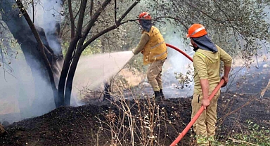 Fethiye'deki Orman Yangını Kontrol Altına Alındı! Can Kaybı Yaşanmadı