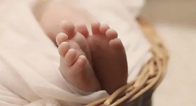 İsveç’te Kuzen Evlilikleri Yasaklandı: Genetik Hastalık Riski Tartışılıyor