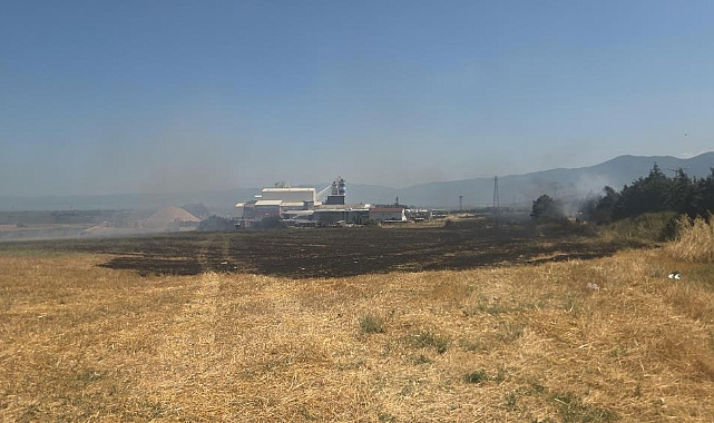 Orhangazi'de Yol Kenarında Korkutan Yangın! Trafik Tek Şeritten Sağlandı