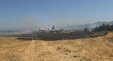 Orhangazi'de Yol Kenarında Korkutan Yangın! Trafik Tek Şeritten Sağlandı